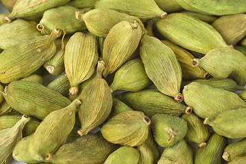 Image showing Green cardamon seeds