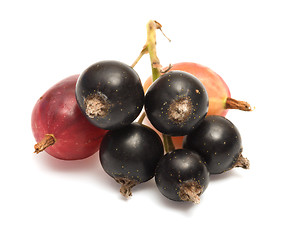 Image showing Berries.