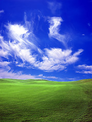 Image showing green field