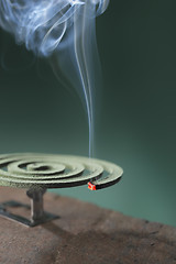 Image showing Insect repellent incense