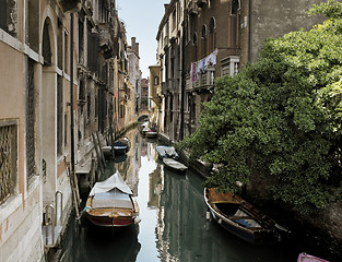 Image showing Venice