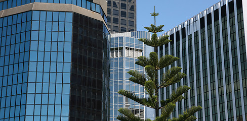 Image showing concrete jungle