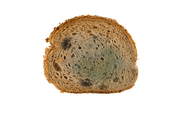 Image showing slice of moldy bread
