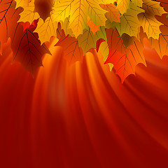 Image showing Autumnal leafs of maple and sunlight. EPS 8