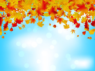 Image showing Autumn leaves on blue sky. EPS 8