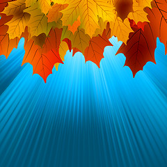 Image showing Autumnal leafs of maple and sunlight. EPS 8