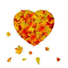 Image showing Heart shape made from autumn leaf. EPS 8