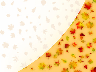 Image showing Colorful autumn leaves card. EPS 8