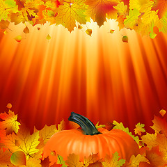 Image showing Pumpkins and leaves in the sun. EPS 8