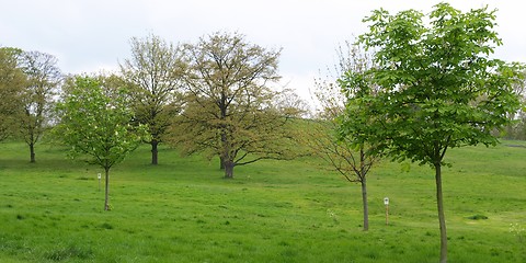 Image showing Primrose Hill, London