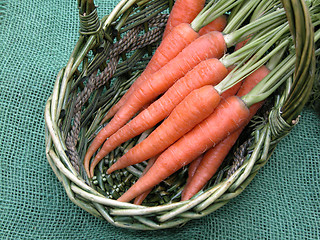 Image showing carrots