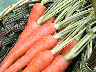 Image showing carrots