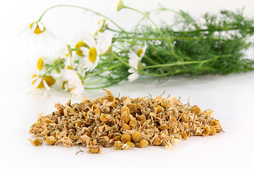 Image showing Chamomile