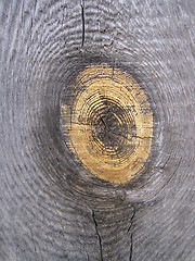 Image showing old wood texture