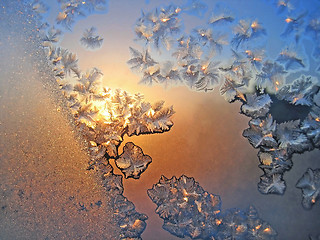 Image showing frost and sun