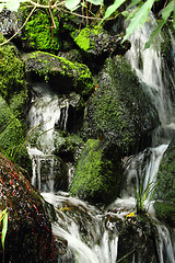 Image showing waterfalls