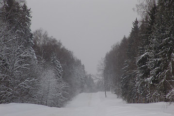 Image showing Winter road