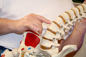 Image showing chiropractor pointing at spine