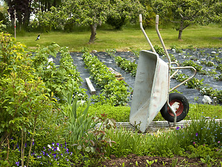 Image showing Garden scene