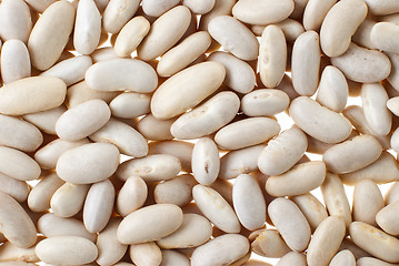 Image showing White bean background