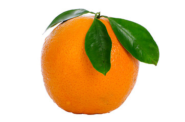 Image showing Ripe orange 