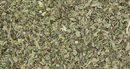 Image showing Dried basil