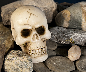 Image showing Skull and rock