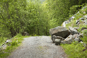 Image showing Rockfall