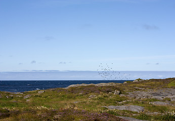 Image showing Coastal landscape