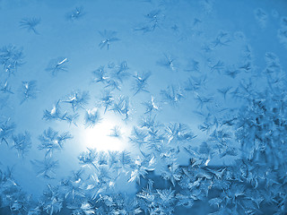 Image showing frost and sun