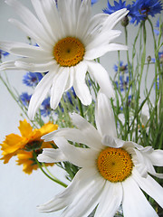 Image showing bouquet of flowers 