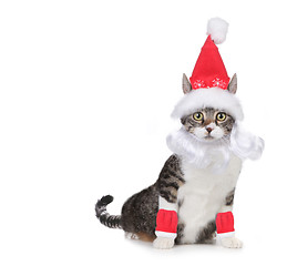 Image showing Cat Wearing a Santa Claus Hat and Beard on White