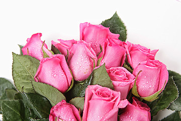 Image showing Beautiful Pink Roses With Water Drops