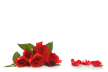 Image showing Roses On White With Rose Petals