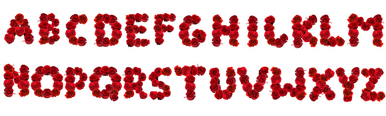 Image showing Alphabet Letters Made Out of Individual Roses