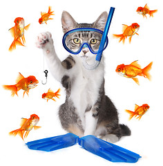 Image showing Funny Image of a Cat Fishing. Conceptually Analogous with the Te