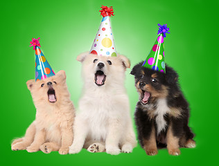 Image showing Singing Birthday Puppy Dogs