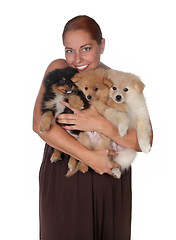 Image showing Three Pomeranian Puppies Being Held by a Woman