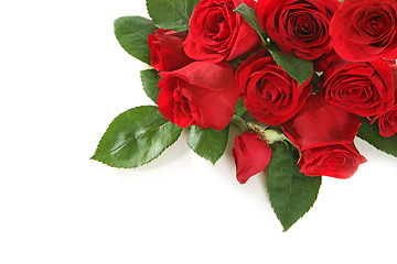 Image showing Roses With Copy Space for Your Text or Image