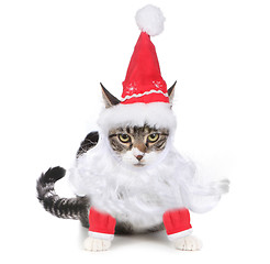 Image showing Unhappy Bah Humbug Santa Kitten Glaring at the Viewer