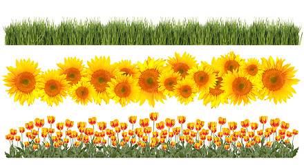 Image showing Tulips, Sunflowers and Grass Borders Springtime Theme