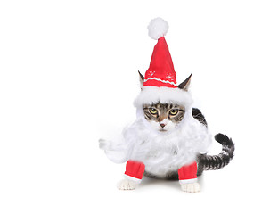 Image showing Humbug Santa Kitten Glaring at the Viewer