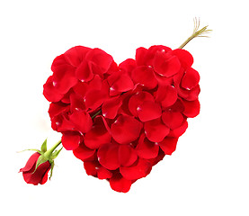 Image showing Heart Shape Made Of Rose Petals With Long Stemmed Rose as an Arr