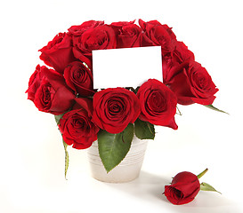 Image showing Roses in a Pot With Blank Message Sign f