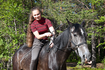 Image showing Beautiful girl on black horse