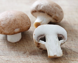 Image showing Brown mushrooms