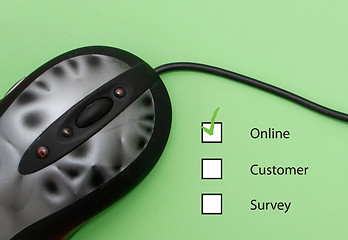 Image showing Online customer survey