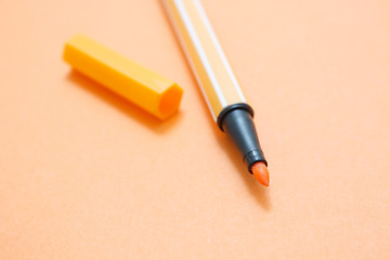 Image showing Pen