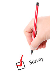 Image showing Survey