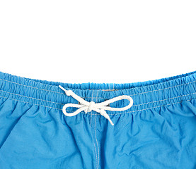 Image showing Swimming shorts